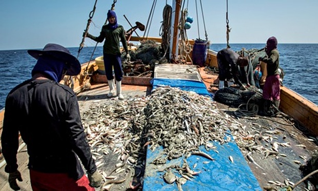 Thai government in extensive campaign to save Thailand’s fisheries and seafood exports