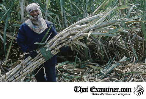 Thailand switches share of bumper sugar crop to ethanol production
