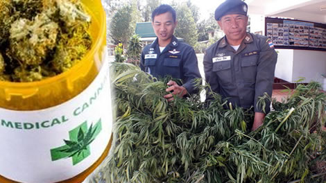 Players in Thailand getting ready to challenge for a slice of the medical cannabis trade as new legal era nears