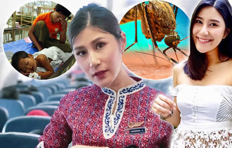 thailand-mosquitoes-dengue-malaria-thai-woman-apitchaya-mosquito-virus-health-people