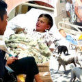 Decisive action ordered by Krabi governor after pack of dogs attack 7-year-old American boy on a beach