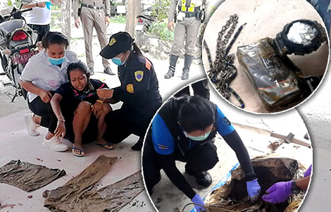 murder-wife-affair-father-in-law-husbands-body-phatthalung-songkhla-province