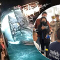 22 still missing as naval chiefs plan refloat of the Sukhothai which capsized and sunk on Sunday