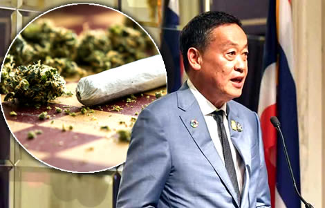 recreational-pot-again-to-be-criminalised-pm-srettha