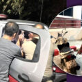 German assaults Thai man, steals his motorbike. Then drives to a shop and steals a high end smartphone