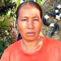 7-year-old girl’s life saved by quick-acting Mom as she is bitten by one of Thailand’s deadliest snakes
