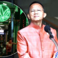 Cannabis or marijuana again going underground on November 11 2025 after minister’s order on Monday
