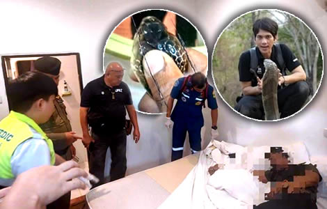 28 year old man used a venomous Cobra snake to give himself the kiss of death. Body found in Khon Kaen