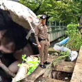 Jack the American who wants to live like a sewer rat rescued from drains outside Bangkok condo complex