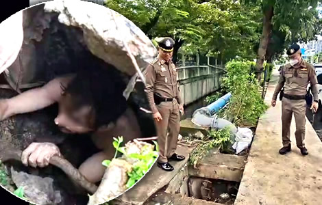 Jack the American who wants to live like a sewer rat rescued from drains outside Bangkok condo complex