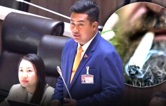 People’s Party MP called for cannabis to be stamped out in Phuket. Warns it drives away high end tourists