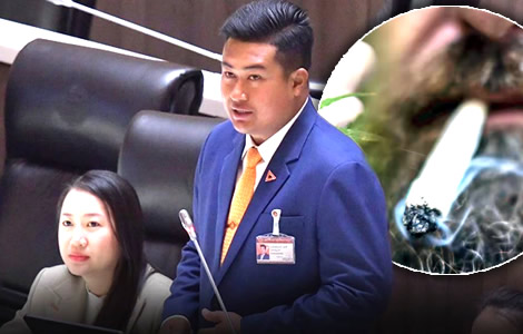People's Party MP called for cannabis to be stamped out in Phuket. Warns it drives away high end tourists
