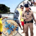 Tragedy, heartache and real pain off Phuket’s idyllic beaches as more die and the Blue Dragon threatens