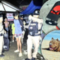 2 month old baby girl mauled to death by pitbull after her mother visited a house for second hand goods