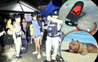 2 month old baby girl mauled to death by pitbull after her mother visited a house for second hand goods