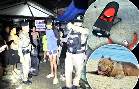 2 month old baby girl mauled to death by pitbull after her mother went next door for second-hand goods