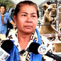 Angry Lion who pounced on keeper last Wednesday was named Trump. Family has received first payment
