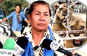 Angry Lion who pounced on keeper last Wednesday was named Trump. Family has received first payment