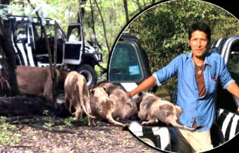 Bangkok’s Safari World Zoo closed after keeper is attacked by Lions and mauled to death for 20 minutes before tourists