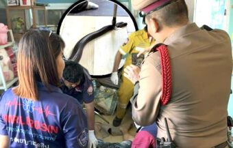 29 year old Samut Prakan man died on the phone to Grandma after a bite from cobra that entered home