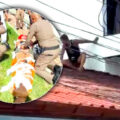 Crazy foreigner clambers for the roof in Phuket. This time it was an intoxicated Dane, a former professional boxer