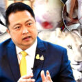 Minister intervenes in shocking Kanchanaburi case where escaped Lion nearly devoured 11 year old boy