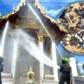 Bee hives destroyed at Nakhon Ratchasima temple on Saturday after 2 terror attacks on locals this week