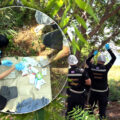 Icelandic tourist commits suicide on Koh Larn in Chonburi on Saturday. Suffered chronic health issues