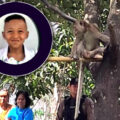Killer monkey left 6 year old boy with life threatening injuries on his chest and legs causing his death