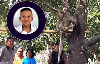 Killer monkey left 6 year old boy with life threatening injuries on his chest and legs causing his death