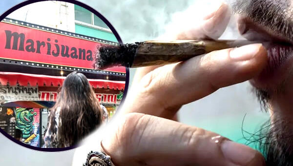 Screws are being fitted and are soon to be turned on Thailand’s cannabis industry which must be reined in