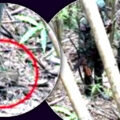 Thailand releases video suggesting Cambodia’s denial of land mines being planted in Chong Bok is a lie