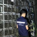 Electricity firm lost 280 million baht in stolen power to organised crime bitcoin mining gang says PM