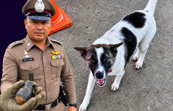 Family dog in Sisaket brought home an old Chinese made grenade thinking it a toy. Bomb squad called