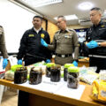 Female courier who became wise to package helped police blow open meths drug trafficking jars to Japan