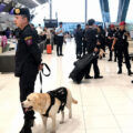 K9 dog teams deployed at Bangkok’s Suvarnabhumi Airport on Tuesday to tighten outbound screening