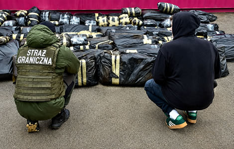 Massive cannabis seizure by Polish and German officials piles pressure on Bangkok after shipment originated in Thailand