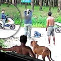 Thailand horrified by savage daylight public murder of 61-year-old out walking in southern Trat province
