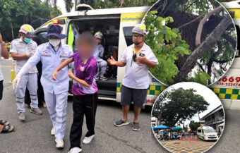 Hundreds of giant bees attack 17 people at a Chonburi government complex. Victims rushed to hospital
