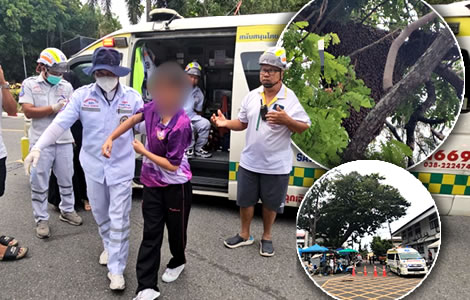 Hundreds of giant bees attack 17 people at a Chonburi government complex. Victims rushed to hospital
