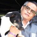 Leading animal rights activist warns that feeding alcohol to dogs is unacceptable and may be illegal