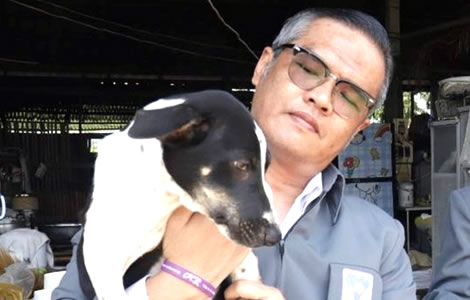 Leading animal rights activist warns that feeding alcohol to dogs is unacceptable and may be illegal