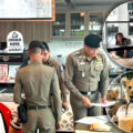 Phuket’s Lion cafes inspected this week after a scare story of a cub biting a Chinese tourist went viral
