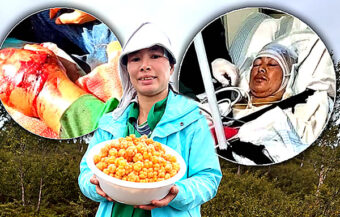Thai woman berry picking in Sweden survives bear attack by playing dead after being mauled at first