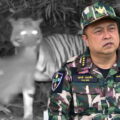 Tiger kills Wildlife officer. Officials insist it is not the act of a ‘man-eating’ tiger but a young cub’s mistake