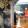 Dizziness, headaches in a Pattaya locale after a cannabis farm fire at a residence on Friday morning