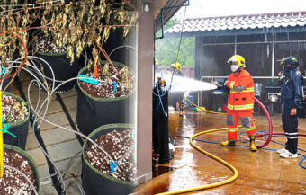 Dizziness, headaches in a Pattaya locale after a cannabis farm fire at a residence on Friday morning guts the property