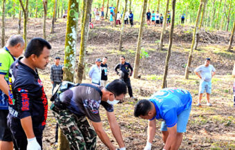 Harrowing moments for husband in Chonburi who saw his wife killed by an angry elephant early Sunday